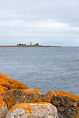 Image showing Orange stones on the coastline of Gotland, Sweden