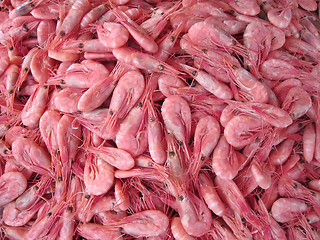 Image showing raw shrimps background