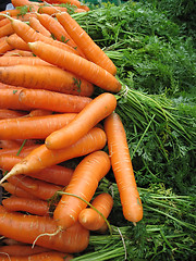 Image showing raw carrots background