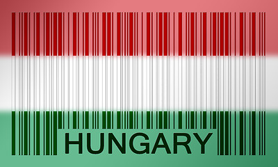 Image showing Barcode flag