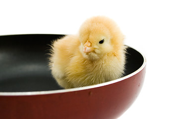 Image showing chick on frying