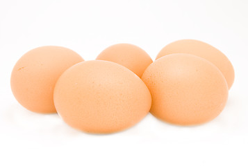 Image showing eggs isolated