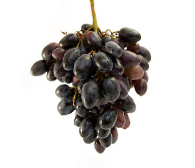 Image showing grapes