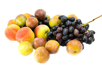 Image showing fruit isolated