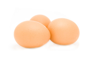 Image showing eggs isolated