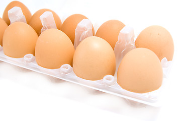 Image showing eggs isolated