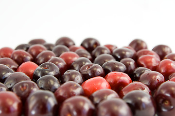 Image showing cherries