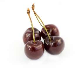 Image showing cherries