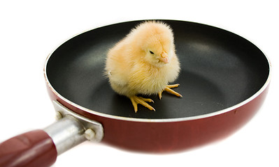 Image showing chick on frying