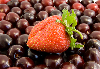 Image showing cherries with strawberry