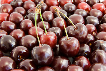 Image showing cherries