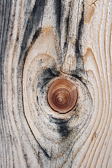Image showing Beautiful knotty wood texture