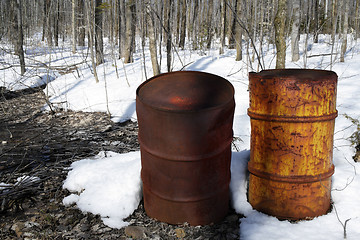 Image showing Rusty barrels in the forest