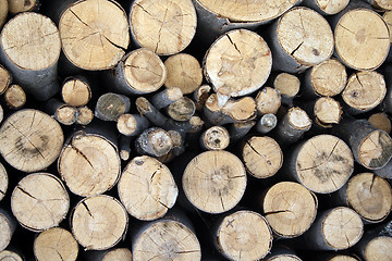 Image showing Pile of firewood