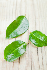 Image showing three green wet leaves