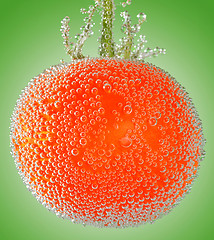 Image showing A fresh organic tomato