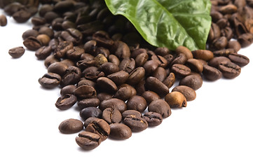 Image showing coffee grains and leaves