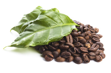 Image showing coffee grains and leaves