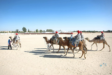 Image showing Camels in the line