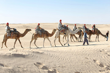 Image showing Tourists on camels in line