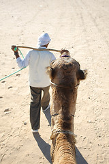 Image showing Camels head