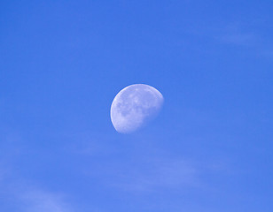 Image showing September Moon