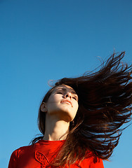 Image showing Hairs on the wind