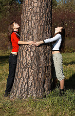 Image showing Girls near Pine tree