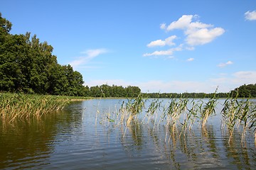 Image showing Masuria in Poland