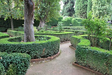 Image showing Alhambra gardens