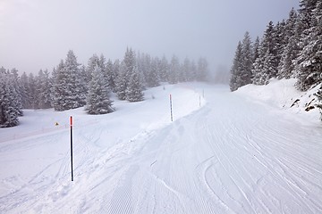 Image showing Skiing