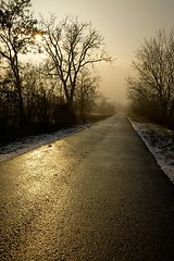 Image showing Long road