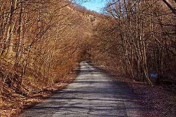 Image showing Autumn road