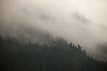 Image showing Foggy forest