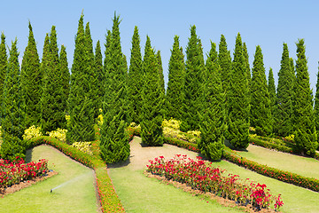 Image showing Landscaped garden Royal Flora Ratchaphruek