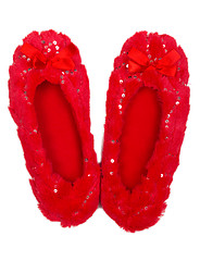 Image showing House red slippers