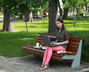 Image showing Young Woman Studying in a Park