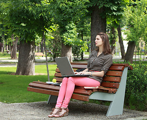 Image showing Young Woman Studying in a Park