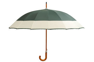 Image showing Green Umbrella