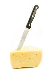 Image showing cheese