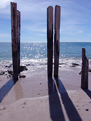 Image showing Wooden Posts