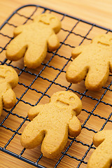 Image showing Homemade baked gingerbread cookies