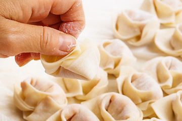 Image showing Homemade Chinese dumpling