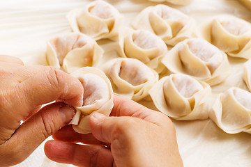 Image showing Homemade Chinese dumpling