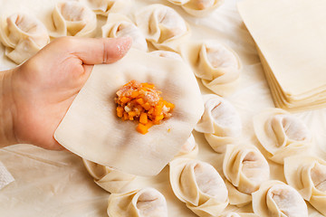 Image showing Making of Chinese dumpling