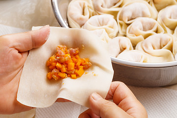 Image showing Making of Chinese dumpling