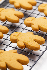 Image showing Baked gingerbread cookies close up