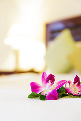 Image showing Pink orchid flower in hotel room