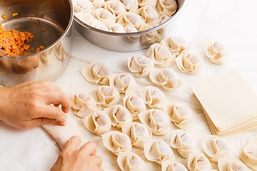 Image showing Making of Chinese dumpling