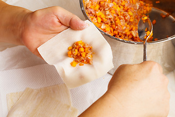 Image showing Wrapping of Chinese dumpling